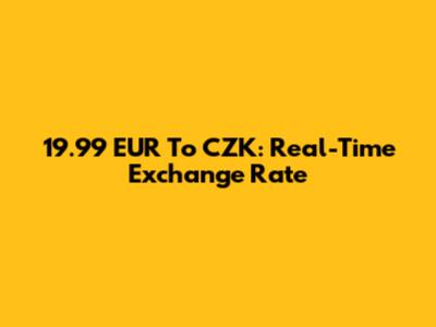 19.99 EUR To CZK: Real-Time Exchange Rate