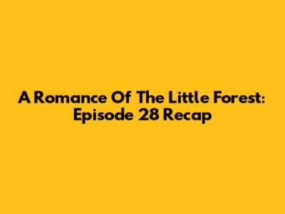 A Romance Of The Little Forest: Episode 28 Recap