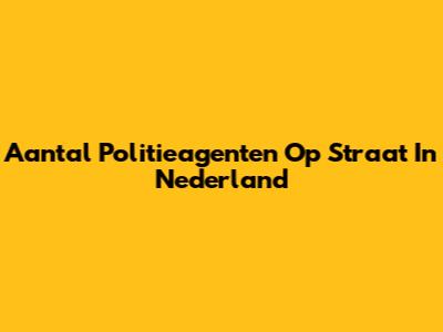 Aantal Politieagenten Op Straat In Nederland