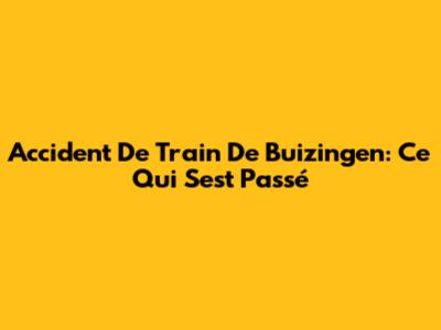 Accident De Train De Buizingen: Ce Qui S'est Passé