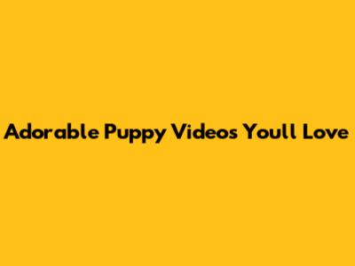 Adorable Puppy Videos You'll Love