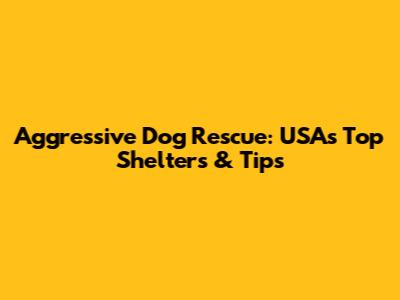 Aggressive Dog Rescue: USA's Top Shelters & Tips