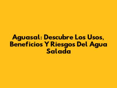 Aguasal: Descubre Los Usos, Beneficios Y Riesgos Del Agua Salada