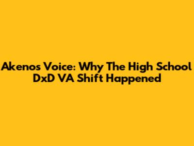 Akeno's Voice: Why The High School DxD VA Shift Happened