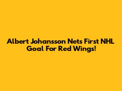 Albert Johansson Nets First NHL Goal For Red Wings!