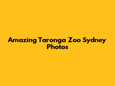 Amazing Taronga Zoo Sydney Photos