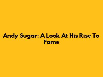 Andy Sugar: A Look At His Rise To Fame