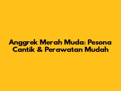 Anggrek Merah Muda: Pesona Cantik & Perawatan Mudah