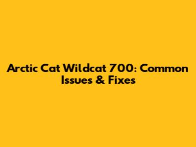 Arctic Cat Wildcat 700: Common Issues & Fixes