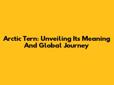 Arctic Tern: Unveiling Its Meaning And Global Journey