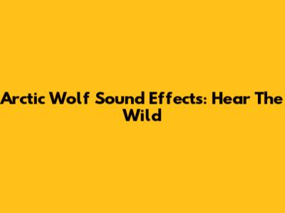 Arctic Wolf Sound Effects: Hear The Wild