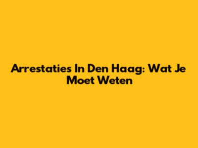 Arrestaties In Den Haag: Wat Je Moet Weten