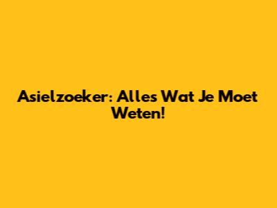 Asielzoeker: Alles Wat Je Moet Weten!