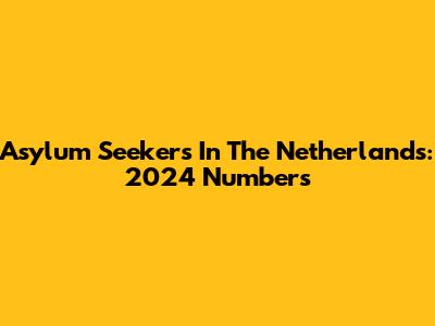 Asylum Seekers In The Netherlands: 2024 Numbers
