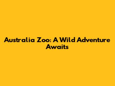 Australia Zoo: A Wild Adventure Awaits