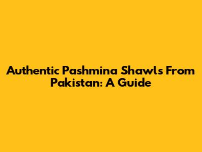Authentic Pashmina Shawls From Pakistan: A Guide