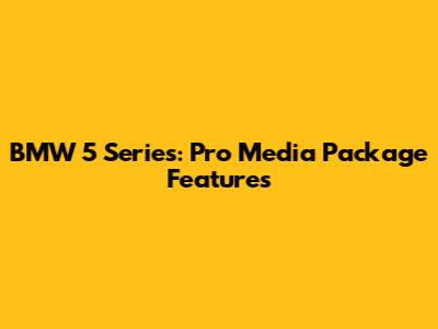 BMW 5 Series: Pro Media Package Features