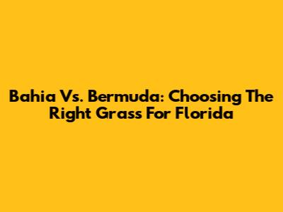Bahia Vs. Bermuda: Choosing The Right Grass For Florida