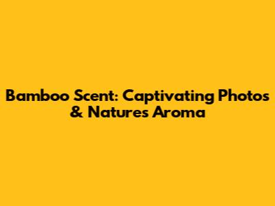 Bamboo Scent: Captivating Photos & Nature's Aroma