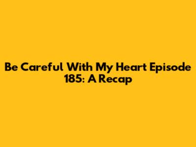 Be Careful With My Heart Episode 185: A Recap
