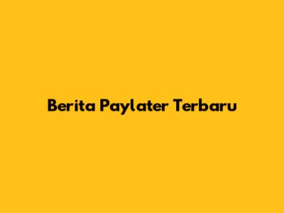 Berita Paylater Terbaru