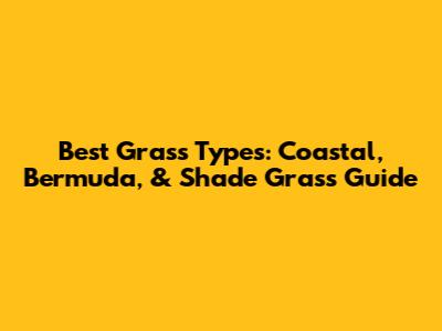 Best Grass Types: Coastal, Bermuda, & Shade Grass Guide