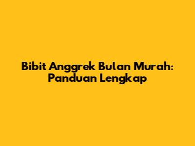 Bibit Anggrek Bulan Murah: Panduan Lengkap