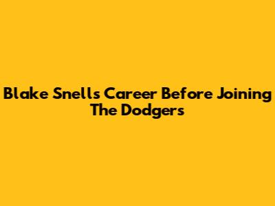 Blake Snell's Career Before Joining The Dodgers