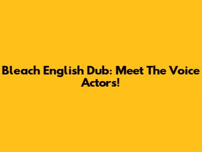 Bleach English Dub: Meet The Voice Actors!