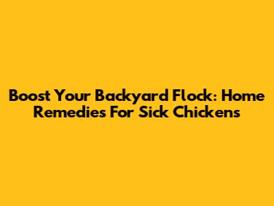 Boost Your Backyard Flock: Home Remedies For Sick Chickens