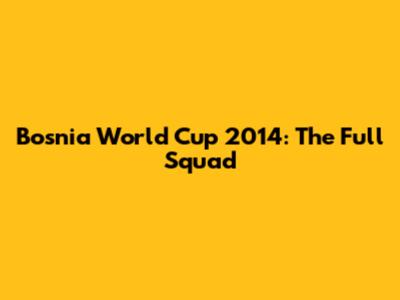 Bosnia World Cup 2014: The Full Squad