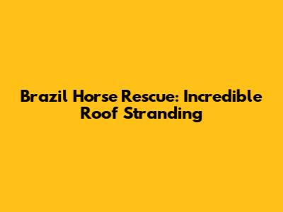 Brazil Horse Rescue: Incredible Roof Stranding
