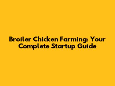 Broiler Chicken Farming: Your Complete Startup Guide