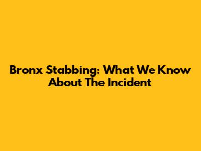 Bronx Stabbing: What We Know About The Incident