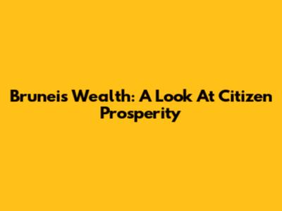 Brunei's Wealth: A Look At Citizen Prosperity