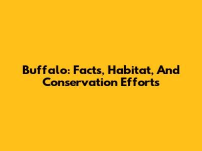 Buffalo: Facts, Habitat, And Conservation Efforts
