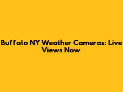 Buffalo NY Weather Cameras: Live Views Now