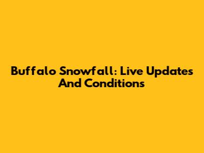 Buffalo Snowfall: Live Updates And Conditions