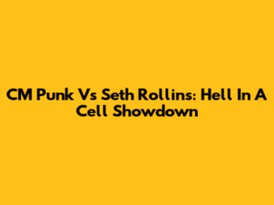 CM Punk Vs Seth Rollins: Hell In A Cell Showdown