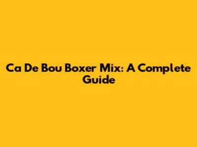 Ca De Bou Boxer Mix: A Complete Guide