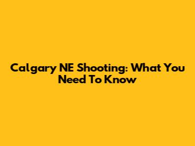 Calgary NE Shooting: What You Need To Know