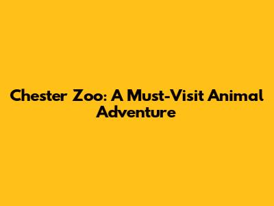 Chester Zoo: A Must-Visit Animal Adventure