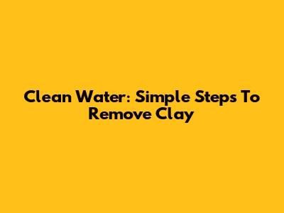 Clean Water: Simple Steps To Remove Clay
