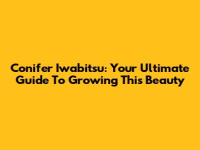 Conifer Iwabitsu: Your Ultimate Guide To Growing This Beauty