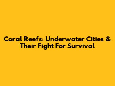 Coral Reefs: Underwater Cities & Their Fight For Survival