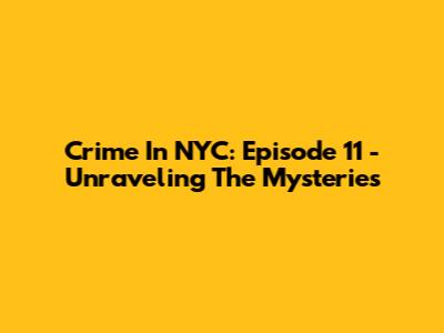 Crime In NYC: Episode 11 - Unraveling The Mysteries