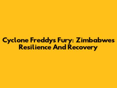 Cyclone Freddy's Fury: Zimbabwe's Resilience And Recovery