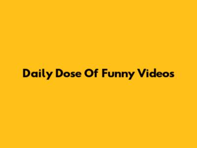 Daily Dose Of Funny Videos