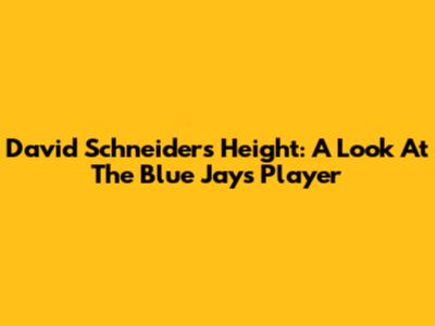 David Schneider's Height: A Look At The Blue Jays Player