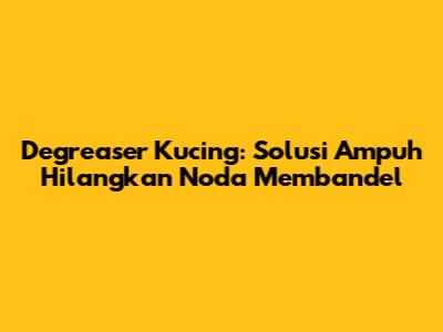 Degreaser Kucing: Solusi Ampuh Hilangkan Noda Membandel
